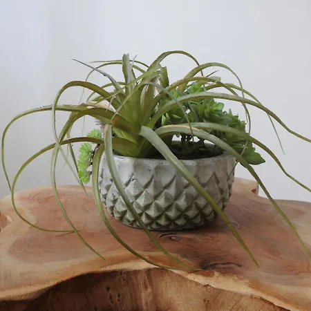 アパート In Warnemuende *