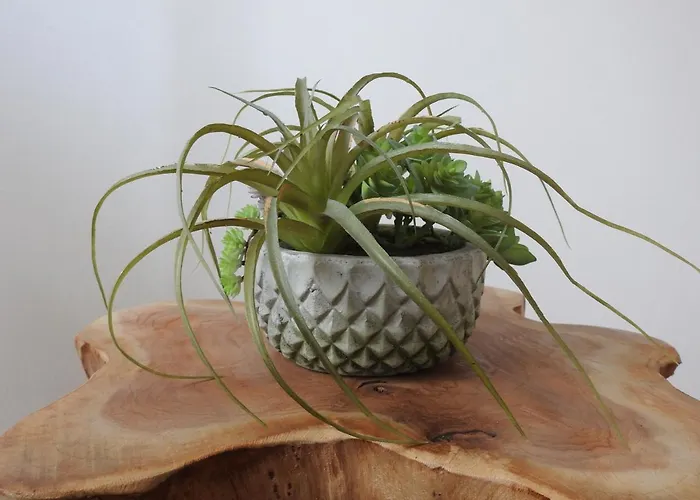 Apartament In Warnemuende *